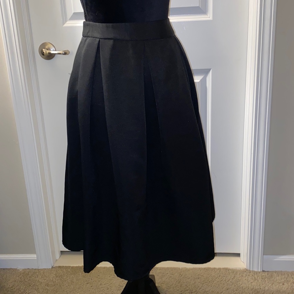 Express pleated aline midi skirt